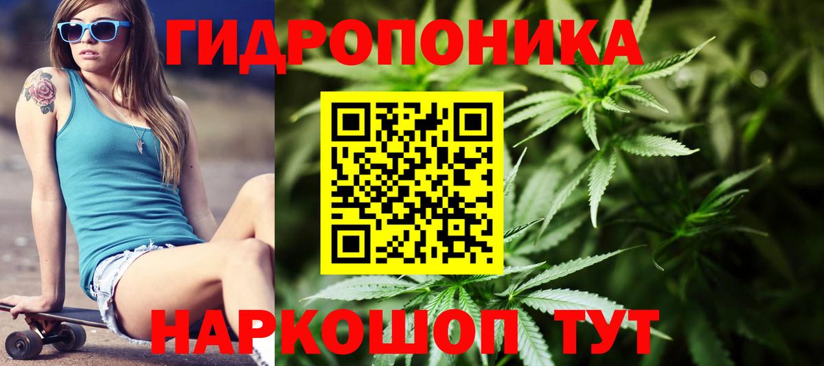 Канабис Amnesia Богородск